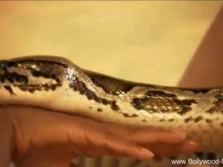 Bollywood un the burvīgs snake